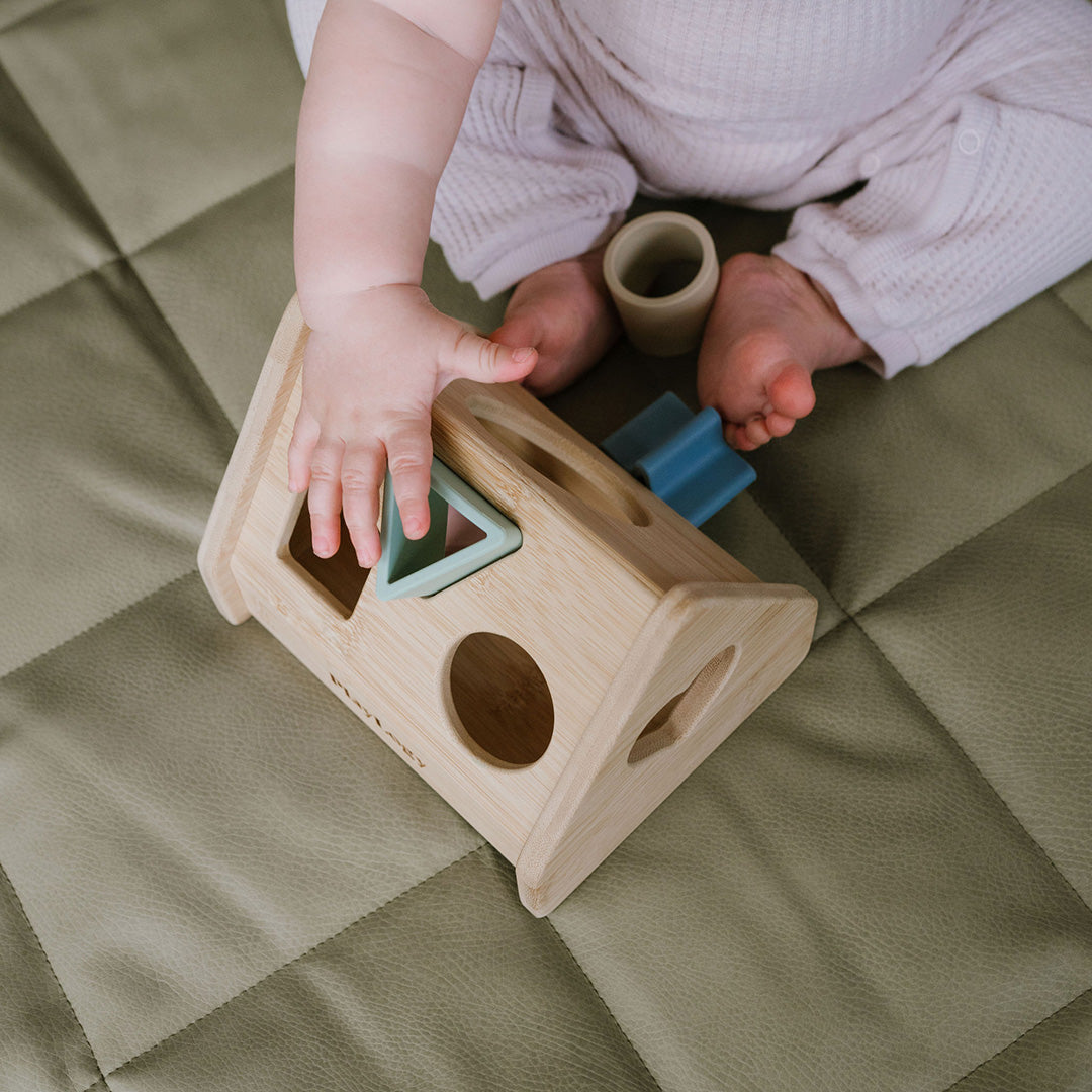 Wooden shape sorter house. Best toy for 1 year olds