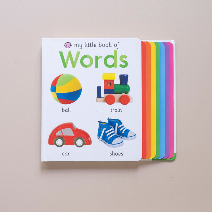 Grow & Go PlayBox 'My Little Book of Words' for 16–18-month-olds educational development.