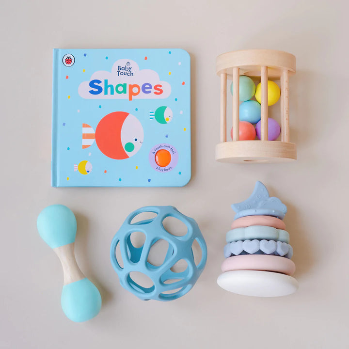 Baby brain development toys with subscription available